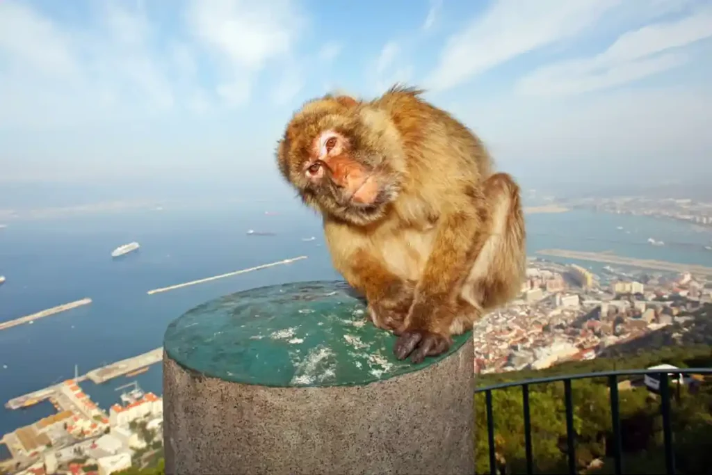 Trabajo en Gibraltar