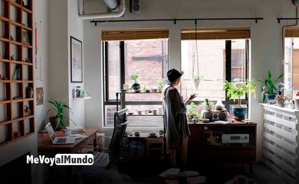 Erasmus para emprendedores