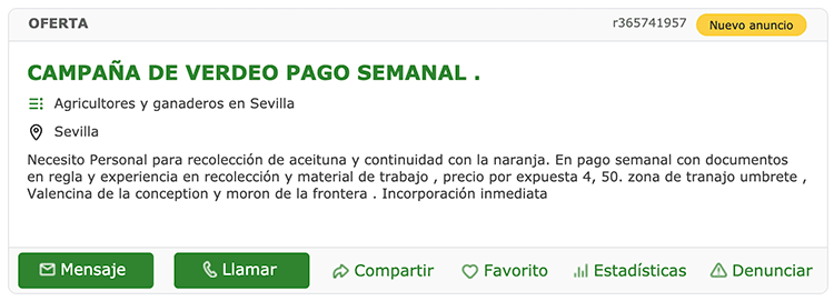 Oferta recogida de aceitunas