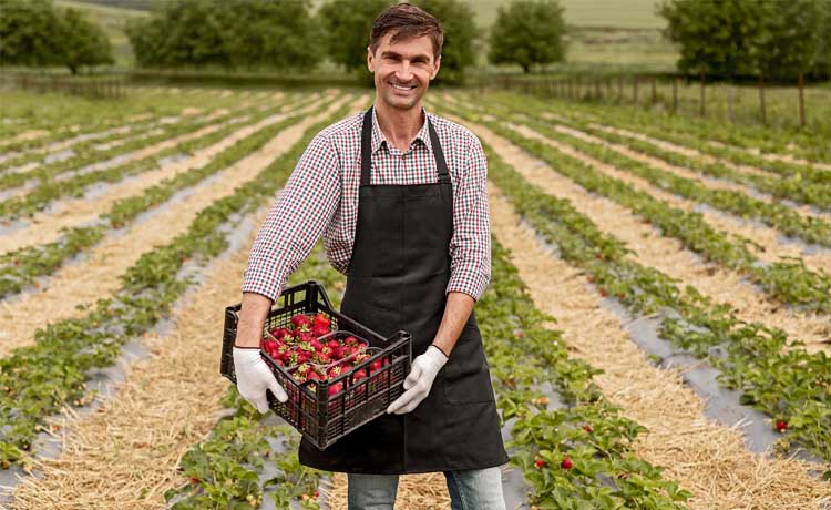 Trabajar en la fresa en Holanda