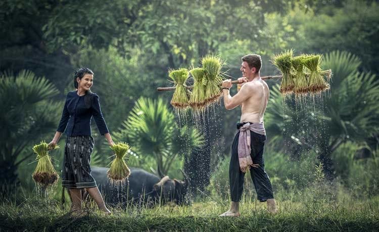 Trabajos que hacen los españoles y latinos en Tailandia