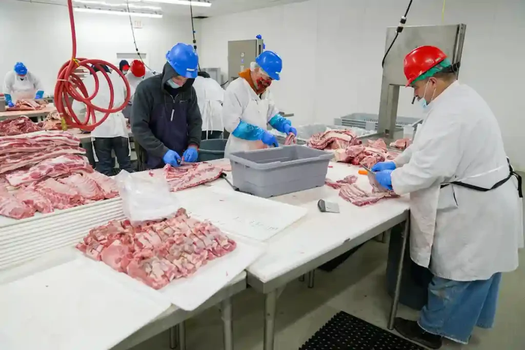 Trabajo en productos cárnicos en Holanda